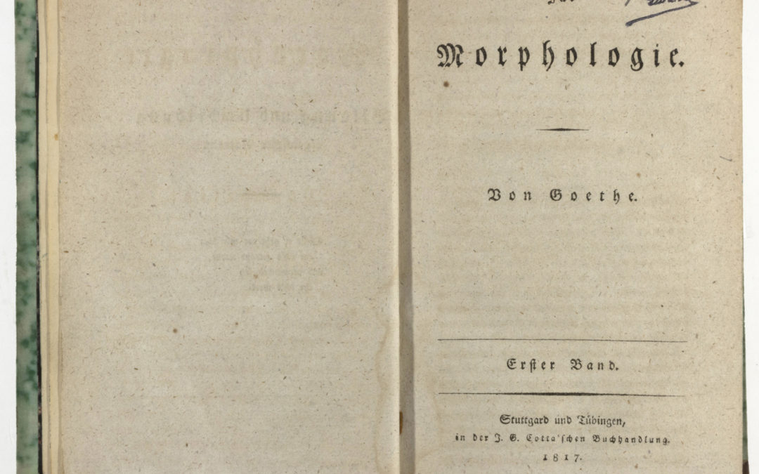 Goethe: A morfológiáról