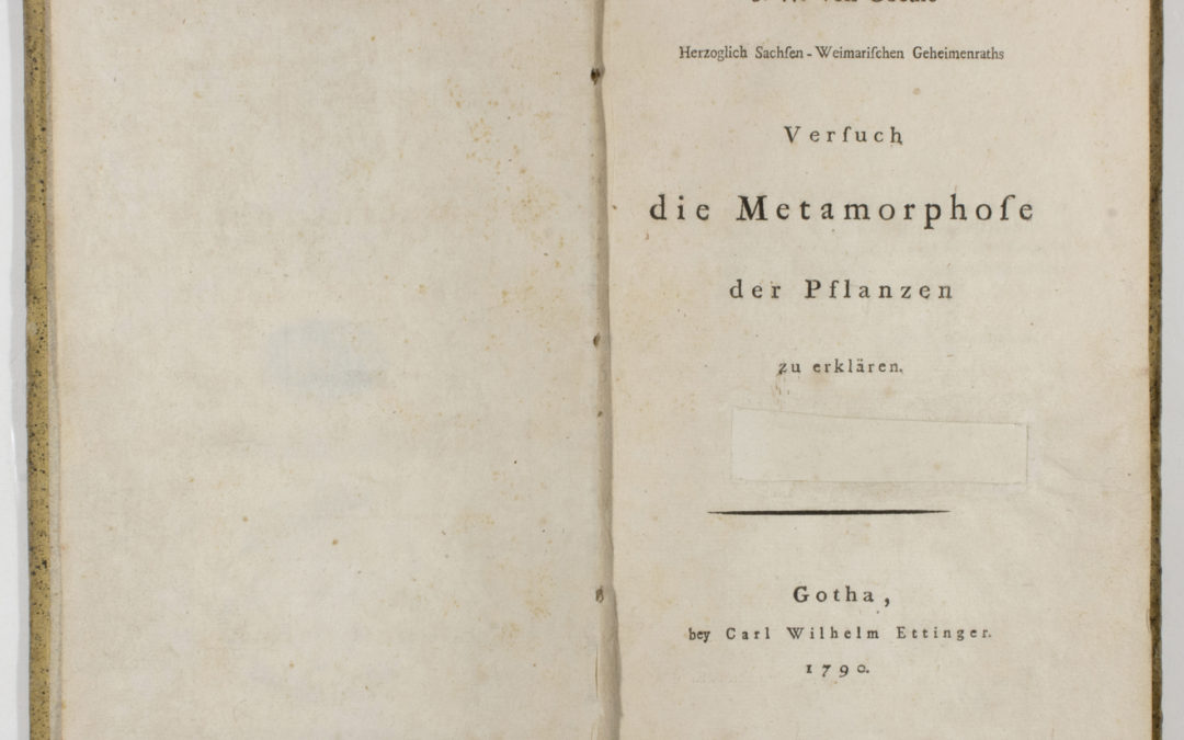 Goethe: Versuch, die Metamorphose der Pflanzen zu erklären